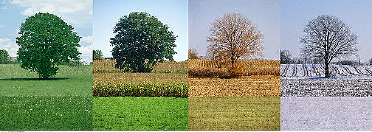 Epic商城曝光《赛博朋克2077》38GB大更新