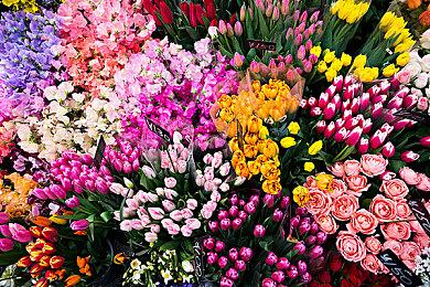 传《龙腾世纪4》游戏销量惨淡 而退款人数正在飙升